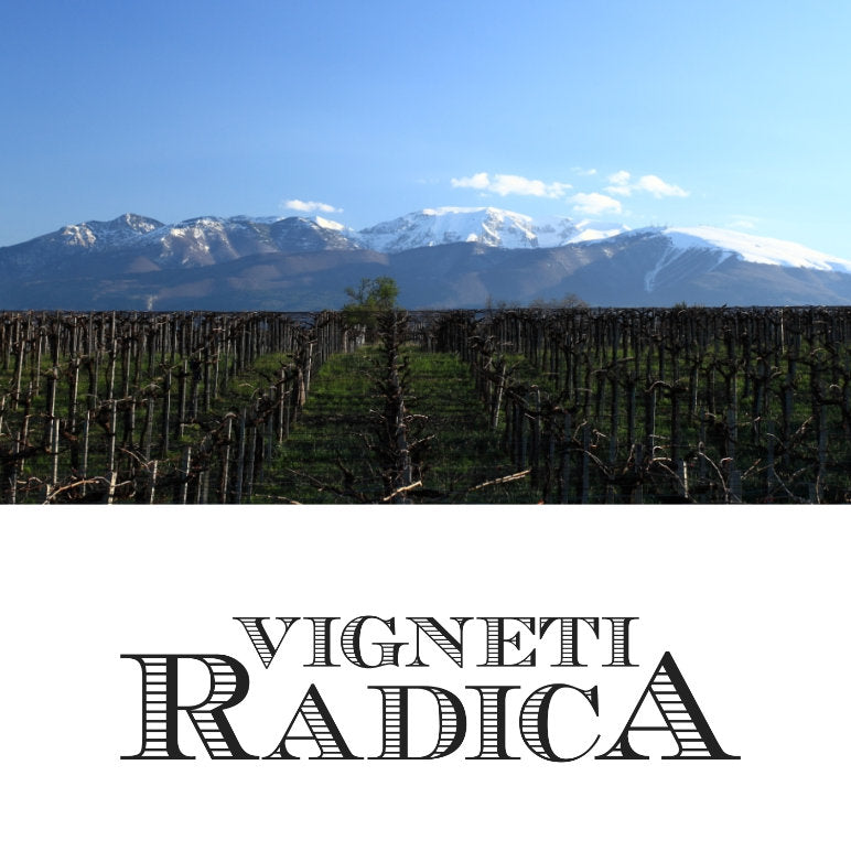 Vigneti Radica – Rouseu Wijnen en Likeuren