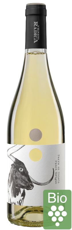 Vigneti Radica Pinot Grigio