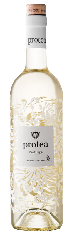 Protea Pinot Grigio 2018 South Africa Wijnen Rouseu